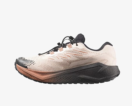 Salomon AERO BLAZE 4 GRVL GTX Erkek Outdoor Koşu Ayakkabısı L45403200 Bej