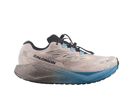 Salomon AERO BLAZE 4 GRVL GTX Erkek Outdoor Koşu Ayakkabısı L45403300 Bej