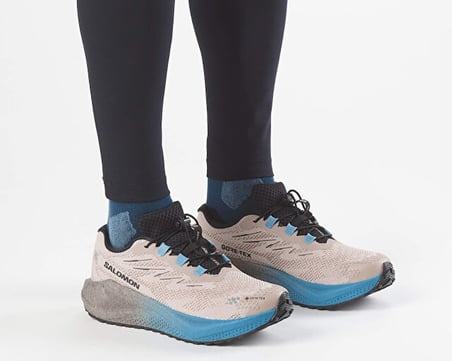 Salomon AERO BLAZE 4 GRVL GTX Erkek Outdoor Koşu Ayakkabısı L45403300 Bej