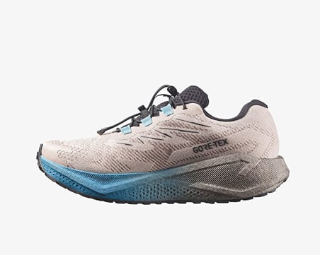 Salomon AERO BLAZE 4 GRVL GTX Erkek Outdoor Koşu Ayakkabısı L45403300 Bej