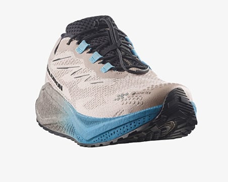 Salomon AERO BLAZE 4 GRVL GTX Erkek Outdoor Koşu Ayakkabısı L45403300 Bej