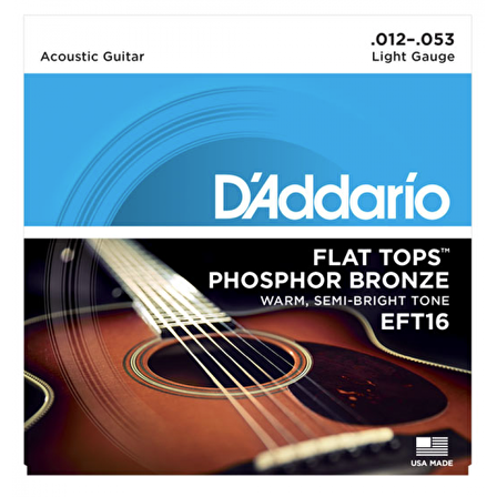 DADDARIO EFT16