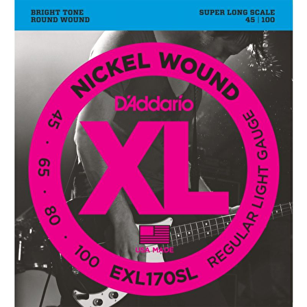 DADDARIO EXL170SL