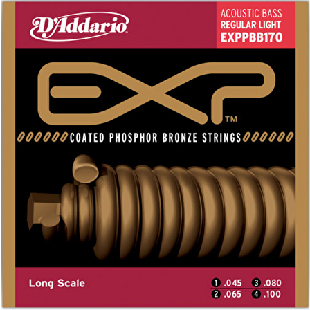 DADDARIO EXPPBB170