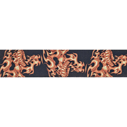 PLANETWAVES 50LT01
