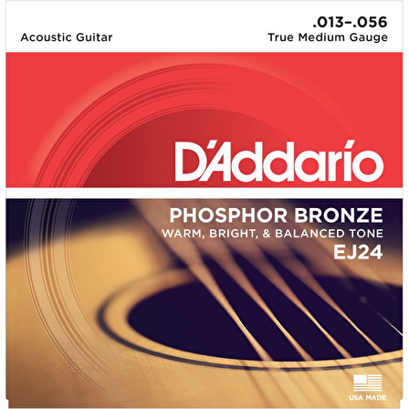 DADDARIO EJ24