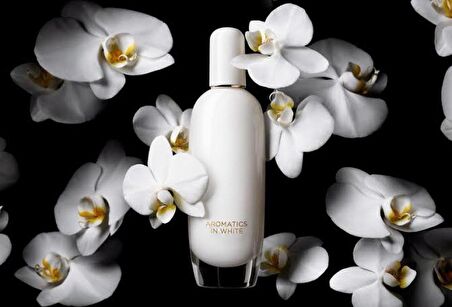 Clinique Aromatics In White Edp Kadın Parfümü 100 ML.