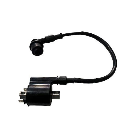 Monero Ateşleme Bobini Oem Spacy Activa 125S