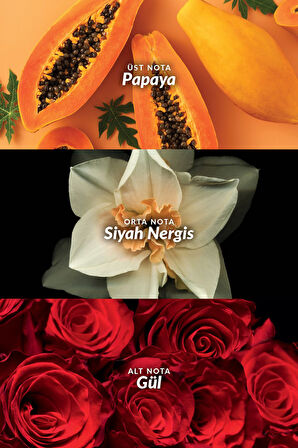 Passion Dance Kadın Parfüm Edt 50 Ml.