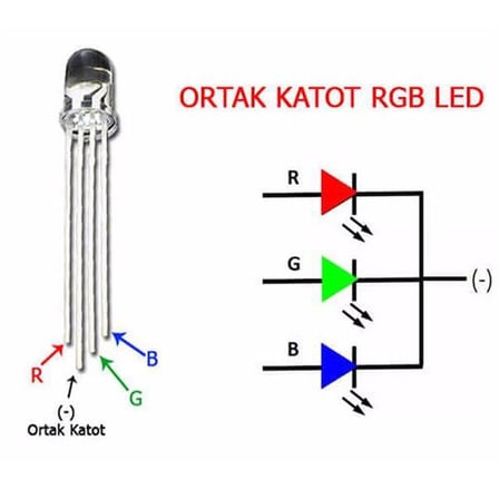 Powermaster 1592-5Mm RGB Led 4 Pin Ortak Katot (5 Adet)