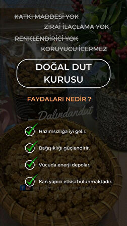 Yeni Mahsül Doğal Kurutulmuş Organik Dut Kurusu (YERLİ) 150 gr
