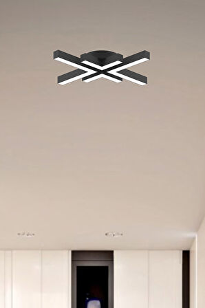 Arana ( Siyah Kasa, Beyaz Işık ) Ledli Modern Plafonyer Led Avize, Salon, Mutfak, Oturma Odası