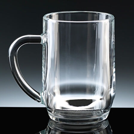 Haworth 590 Ml Temperli kulplu Kupa Bardak Şeffaf