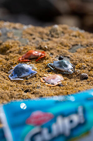 Berkley Gulp Peeler Crab LRF Silikon Yengeç Molting-5 CM