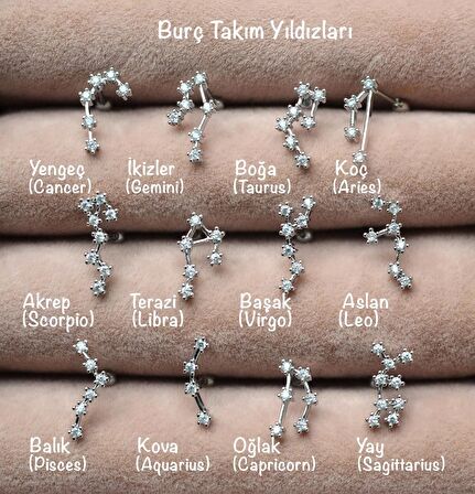 Aslan Burcu Küpe Takımyıldızı Yıldızlı Piercing Helix Gümüş Renk