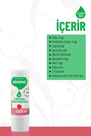Siveno %100 Doğal Dudak Koruyucu Çilek Bitkisel Lip Balm Dudak Kremi Nemlendirici Parlatıcı Onarıcı 6 gr