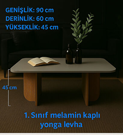 Rustik modern orta sehpa dekoratif kolay kurulum estetik küçük salon sehpası