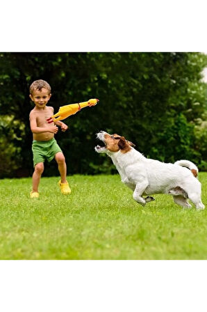 Köpekler Için Öten Oyun Horozu Orta Boy