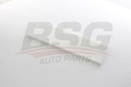 BSG POLEN FILTRESI KABIN FILTRESI