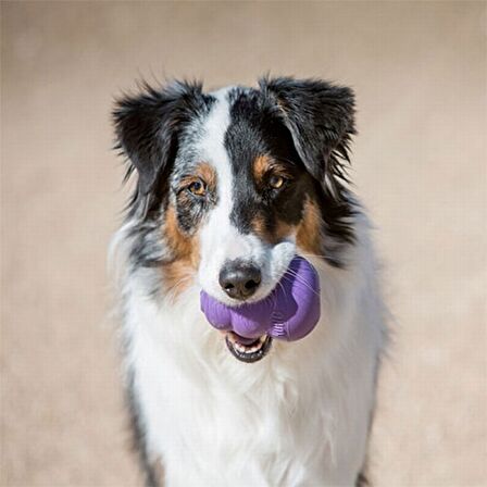Kong Senior S Yaşlı Köpek Oyuncağı