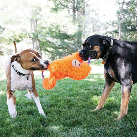 KONG Tuggz Maymun Köpek Oyuncağı, XL,
