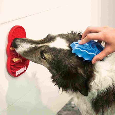KONG Licks Köpekler için Sıvı Ödül Maması Oyuncağı Small
