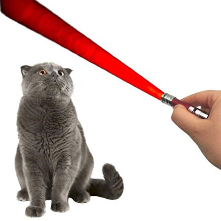 By Nevser®  3 Fonksiyonlu Kırmızı Beyaz Işıklı Led Lazer Kedi Köpek Oyuncak Anahtarlık