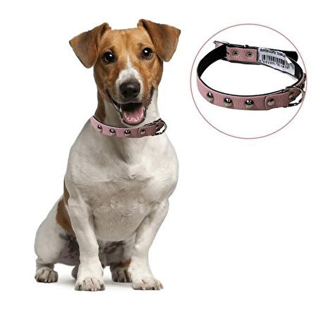 CT-STONES® Yumuşak Dokulu Deri Köpek Gezdirme Boyun Tasması Medium