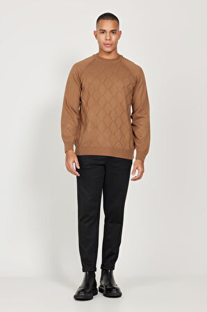 Erkek Vizon Standart Fit Normal Kesim Bisiklet Yaka Jakarlı Triko Kazak