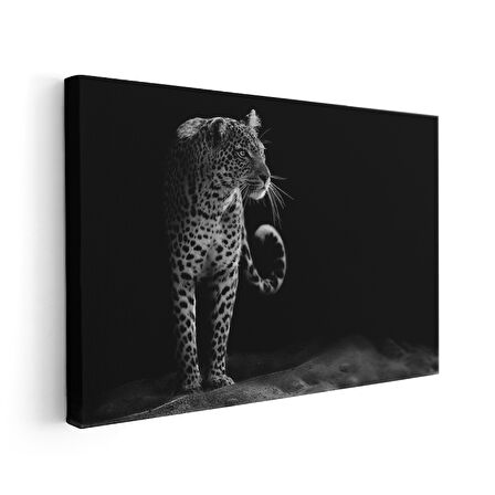 Siyah Beyaz Leopar Portresi Modern Kanvas Tablo