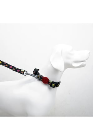 Space Boyun Tasmaları Ayarlanabilir Dayanıklı Ve Konforlu Köpek Desenli Boyun Tasması