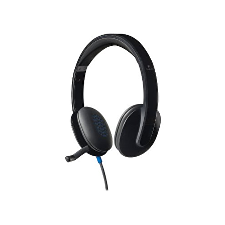 LOGITECH H540 Kulaklık+Microfon 981-000480