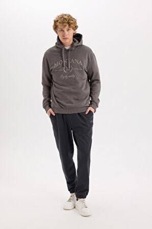 DeFacto Relax Fit Kapüşonlu Baskılı Kalın Sweatshirt D2681AX24AUAR89