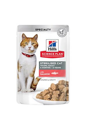 Hill's Chunks İn Gravy Somonlu Kısırlaştırılmış Kedi Konservesi 85 Gr