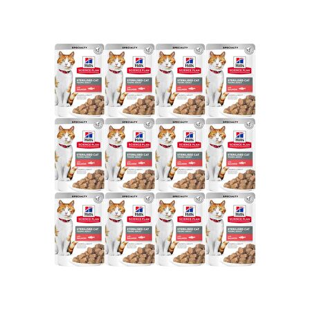 Hill's Kısırlaştırılmış Kedi Konservesi Somon Balıklı 12x85 gr