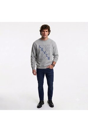 bisiklet yaka pamuk Graphic Erkek Sweatshirt logoGri / S