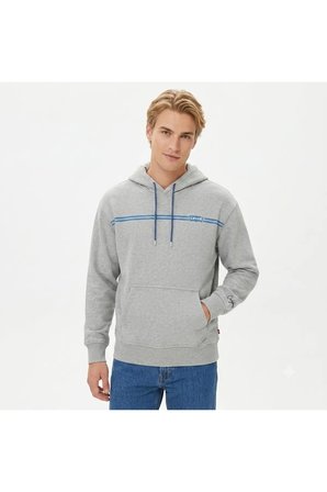 gri rahat kesim kapüşonlu sweat Relaxed Fit Graphic Hoodie Gri / 2XL