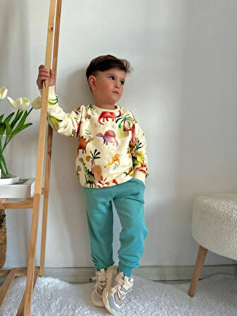 Renk Uyumu Baskısı Ile Göz Alıcı Erkek Eşofman Takım