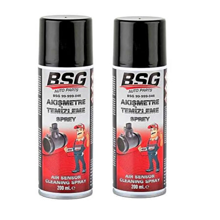 Hava Akışmetre Temizleyici Sprey 200ml x 2 Adet