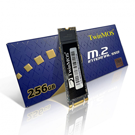 Twinmos NGFFEGBM2280 M2 256 GB M.2 550 MB/s 580 MB/s SSD 