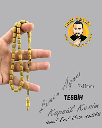İSMAİL EROL LİMON AĞACI KAPSÜL KESİM 7X11