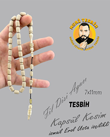 iSMAİL EROL FİL DİŞİ AĞACI KAPSÜL KESİM 7X11