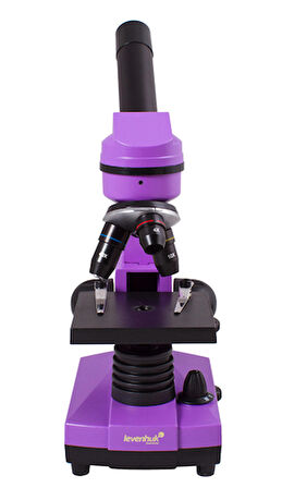 Levenhuk Raınbow 2L Amethyst/Ametist Mikroskop