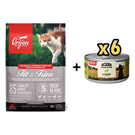 Orijen Fit&Trim Fazla Kilolu Kediler için Light Tahılsız Kedi Maması 5,4 kg + 6 Adet Acana Premium Kuzulu Ezme Kedi Konservesi 85 gr