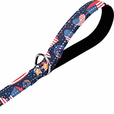 Mita Dayanıklı Köpek Gezdirme Tasması/Kayışı 2x120Cm