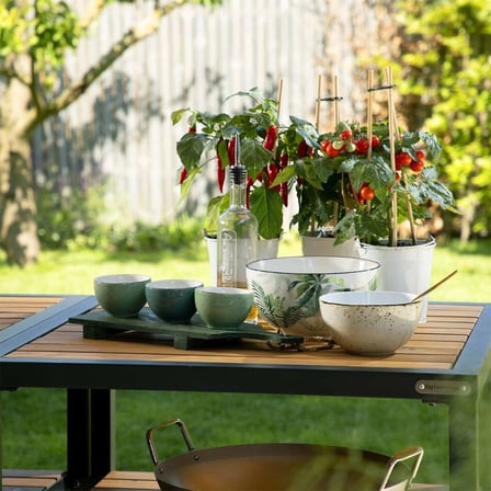Big Green Egg Akasya Raf