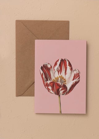 The Mia Art Line Mini Tebrik Kart Seti Tulip10 X 14 Cm