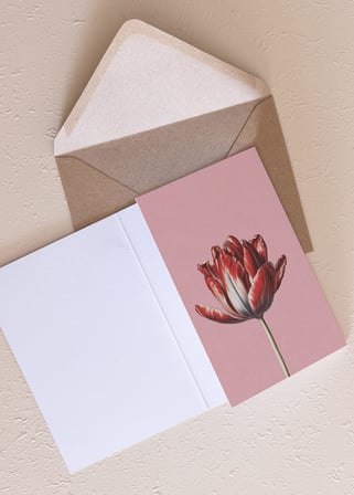 The Mia Art Line Mini Tebrik Kart Seti Tulip10 X 14 Cm