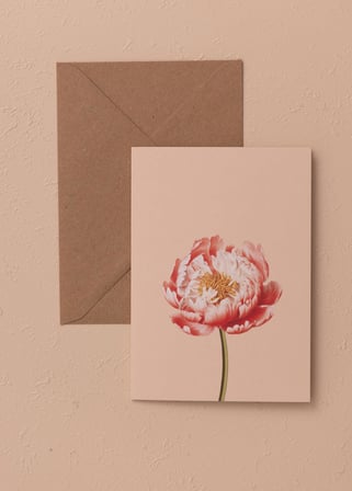 The Mia Art Line Mini Tebrik Kart Seti Peonie 10 X 14 Cm