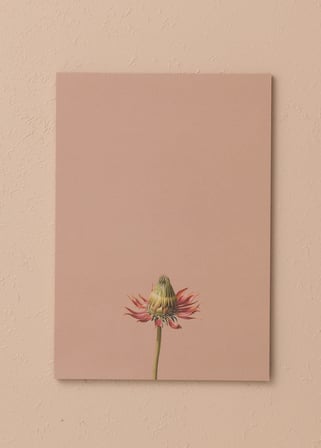 The Mia Art Line Mini Notluk Coneflower 15X21 Cm 40 Yaprak